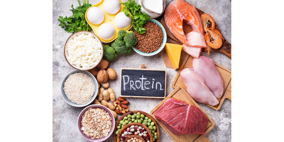 Wild Society protein-first lifestyle tools including whey, collagen, and snacks