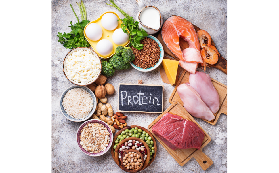 Wild Society protein-first lifestyle tools including whey, collagen, and snacks