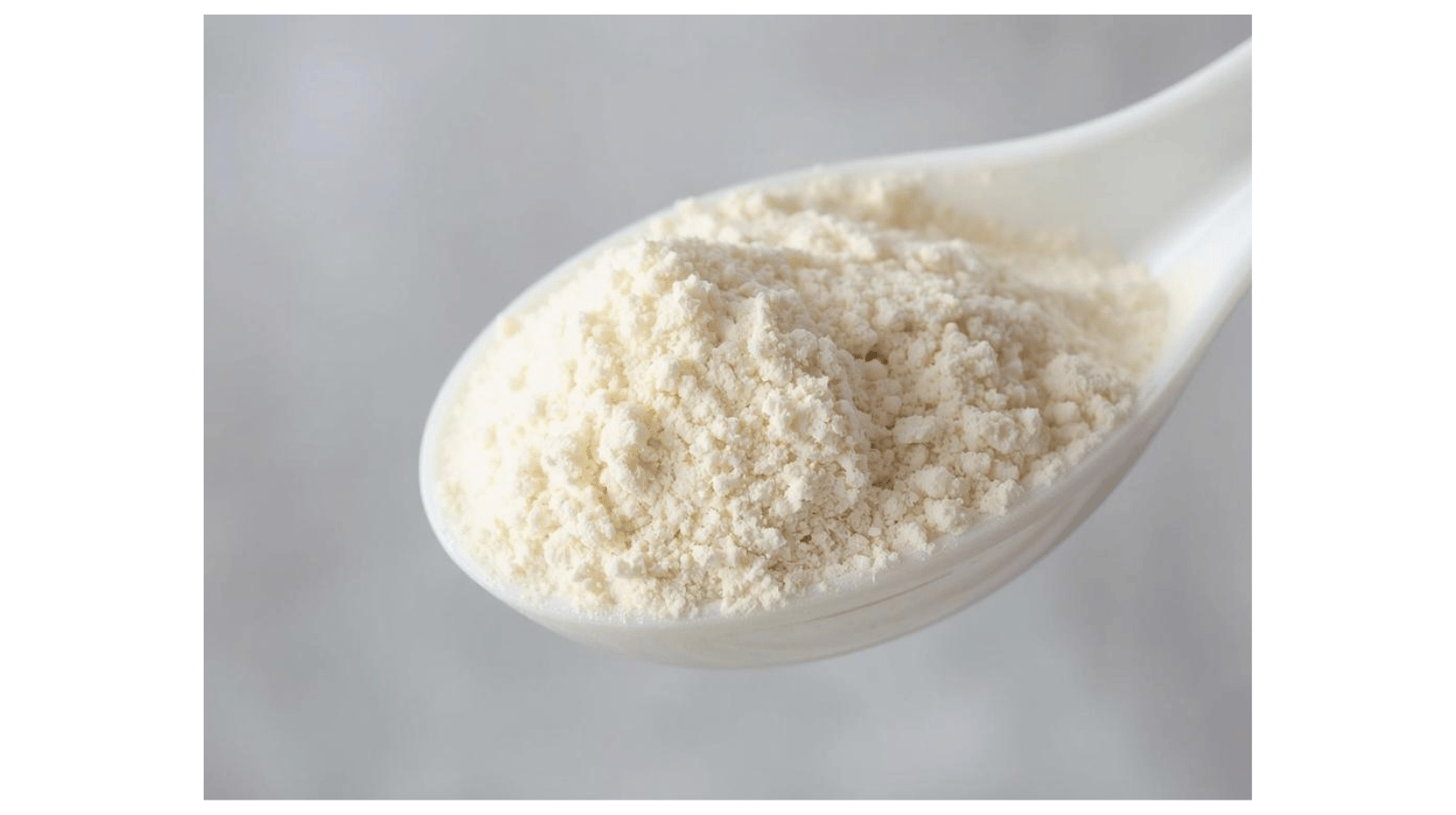 scoop of Wild Society Nutrition Protein