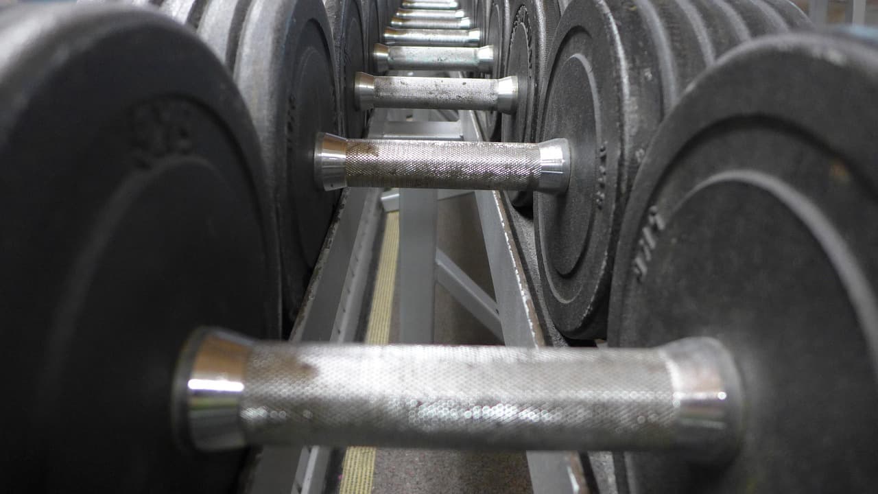 Wild Society Nutrition Press Room 