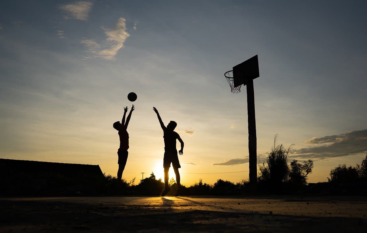 training variety, such as playing basketball, shown here, can extend lifespan