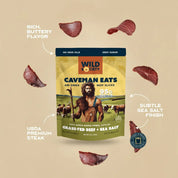 Ultimate UFC Champion Bundle