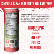 simple clean ingredients - nootropic energy focus memory